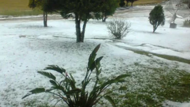 Fotos de Paraná está sob alerta de temporal; há risco de queda de granizo