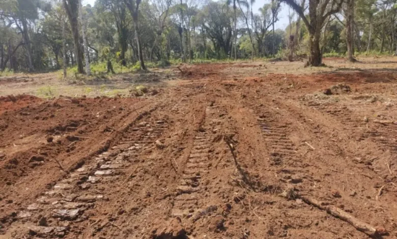 Fotos de Proprietário rural é multado em mais de R$ 30 mil por danos