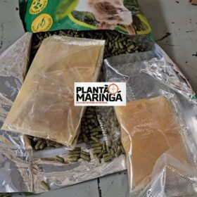 Fotos de Traficante é preso com super “meleca de maconha” em Maringá  