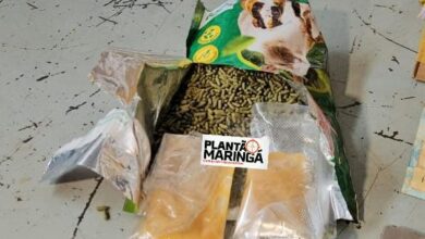 Fotos de Traficante é preso com super “meleca de maconha” em Maringá  