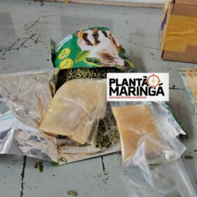 Fotos de Traficante é preso com super “meleca de maconha” em Maringá  