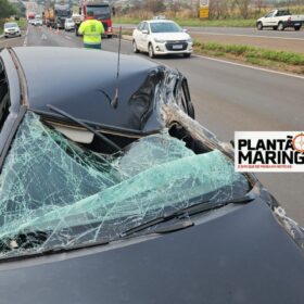 Fotos de Carro fica destruído após colisão com caminhão entre Iguatemi e Maringá