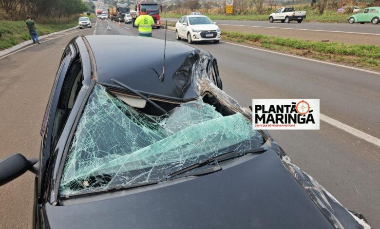 Fotos de Carro fica destruído após colisão com caminhão entre Iguatemi e Maringá