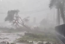 Fotos de 356 cidades têm alerta de tempestade no Paraná; veja a lista