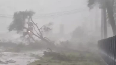 Fotos de 356 cidades têm alerta de tempestade no Paraná; veja a lista