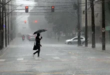 Fotos de Alerta de tempestade aponta risco de ventos superiores a 100 km/h para 26 municípios do Paraná; veja quais