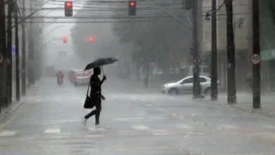 Fotos de Alerta de tempestade aponta risco de ventos superiores a 100 km/h para 26 municípios do Paraná; veja quais