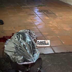 Fotos de Homem morto em briga de vizinho em Maringá agredia gatos afirma pai do autor do crime  