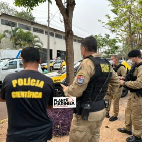 Fotos de Homem encontrado morto em fundo de vale em Maringá é identificado