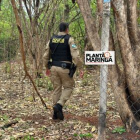 Fotos de Homem encontrado morto em fundo de vale em Maringá é identificado