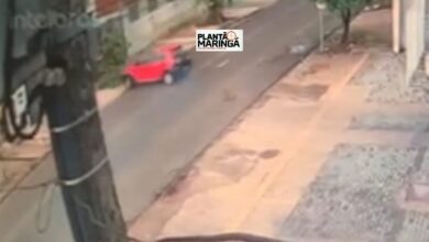 Fotos de Câmera registra motorista embriagado batendo em árvore em Maringá