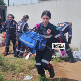 Fotos de Após avançar preferencial e matar mulher de 55 anos em Sarandi, motorista é preso por homicídio culposo e fraude processual