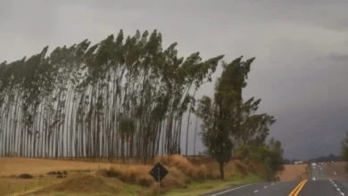 Fotos de Chuva avança e todas as regiões do Paraná entram em novos alertas para tempestade; veja a lista