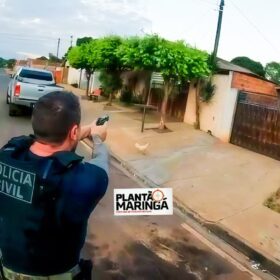 Fotos de DENARC de Maringá realiza operação contra traficantes na manhã desta terça-feira