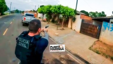 Fotos de DENARC de Maringá realiza operação contra traficantes na manhã desta terça-feira