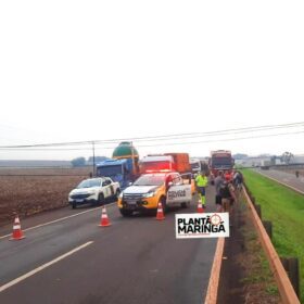 Fotos de Fio de alta tensão cai no temporal e interdita parte da rodovia PR-317 entre Maringá e Floresta