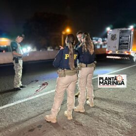 Fotos de Homem morre atropelado após supostamente pegar 'rabeira' em um caminhão em Maringá