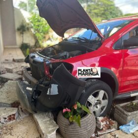 Fotos de Câmera registra motorista embriagado batendo em árvore em Maringá