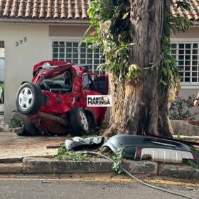 Fotos de Câmera registra motorista embriagado batendo em árvore em Maringá