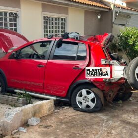 Fotos de Câmera registra motorista embriagado batendo em árvore em Maringá