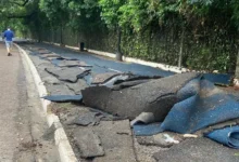 Fotos de MP pede ressarcimento de dinheiro gasto em pista emborrachada do Parque do Ingá