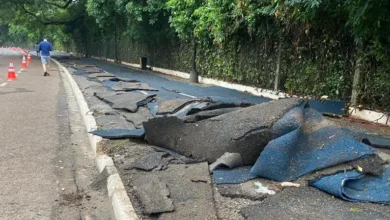 Fotos de MP pede ressarcimento de dinheiro gasto em pista emborrachada do Parque do Ingá