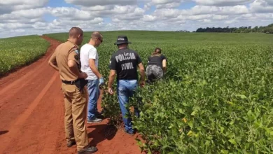 Fotos de Pai encontra filho de 13 anos morto no meio de plantação