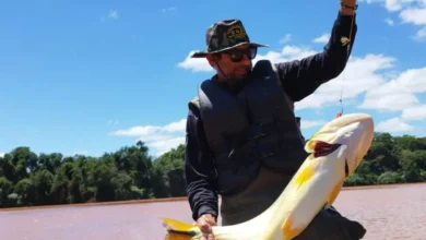 Fotos de Piracema: veja quando começa e até quando vai no Paraná