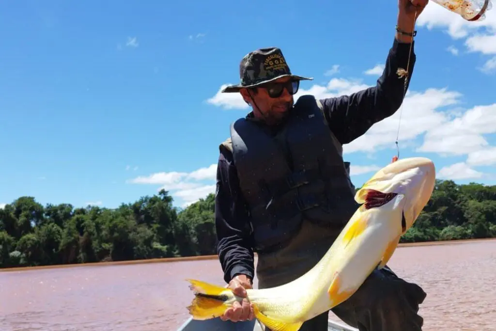 Fotos de Piracema: veja quando começa e até quando vai no Paraná