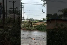 Fotos de Vídeo: Árvore é destruída após ser atingida por raio em Maringá