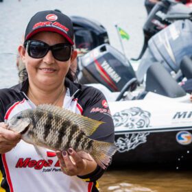 Fotos de 2,6 milhões de peixes nativos serão soltos no Paraná