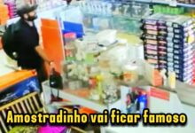 Fotos de Criminoso furta bolsa de funcionária em Pet Shop de Maringá; câmeras registram ação