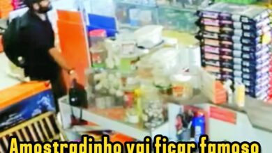 Fotos de Criminoso furta bolsa de funcionária em Pet Shop de Maringá; câmeras registram ação