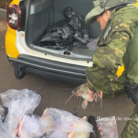 Fotos de Dois homens são presos por pesca durante a piracema no Rio Ivaí