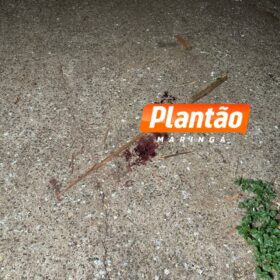 Fotos de Polícia Civil apreende suspeito de matar homem a pedradas e pauladas em Sarandi