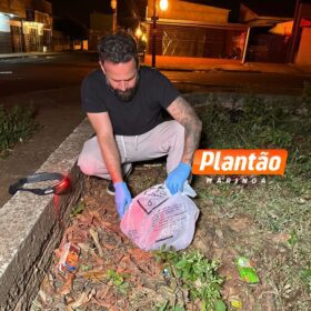 Fotos de Polícia Civil apreende suspeito de matar homem a pedradas e pauladas em Sarandi