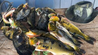 Fotos de Policia Ambiental prende pescadores por pesca ilegal no rio Pirapó e Paranapanema