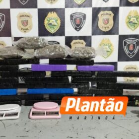 Fotos de Polícia Militar prende mulher por tráfico de drogas e apreende 20 kg de maconha em Sarandi