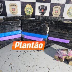 Fotos de Polícia Militar prende mulher por tráfico de drogas e apreende 20 kg de maconha em Sarandi