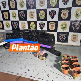 Fotos de Polícia Militar prende mulher por tráfico de drogas e apreende 20 kg de maconha em Sarandi