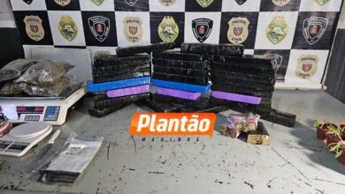 Fotos de Polícia Militar prende mulher por tráfico de drogas e apreende 20 kg de maconha em Sarandi