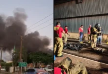 Fotos de Incêndio mobiliza bombeiros e brigadistas em cooperativa de Maringá