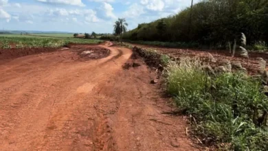 Fotos de Moradores de Sarandi reclamam do lixo nas ruas