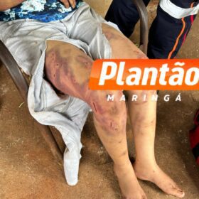 Fotos de Mulher que seria morta com picareta é salva pela Guarda Municipal de Sarandi