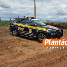 Fotos de PRF de Maringá apreende quase duas tonelada de maconha escondida em carreta na BR-376