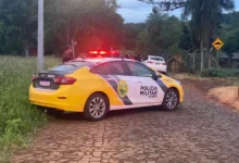 Fotos de Após furtar égua, homem é encontrado pelado com o animal dentro de cemitério no Paraná