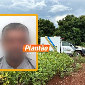 Fotos de Corpo de homem encontrado em plantação de soja é identificado em Maringá