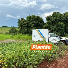 Fotos de Corpo é encontrado em plantação de soja em Maringá