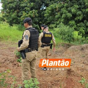 Fotos de Corpo é encontrado em plantação de soja em Maringá