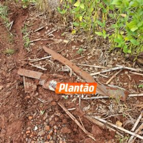 Fotos de Corpo é encontrado em plantação de soja em Maringá